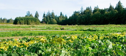 ubcfarm